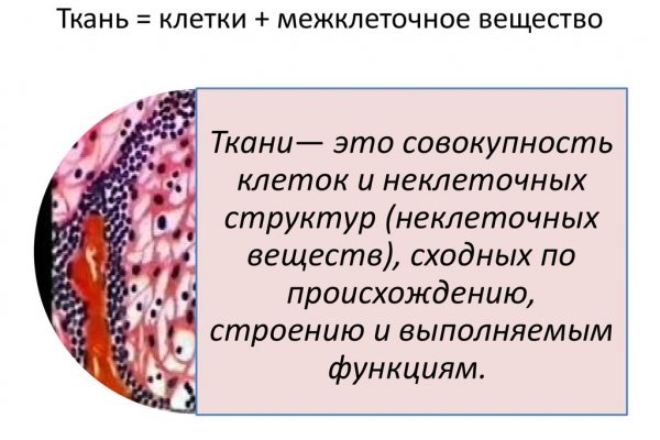 Кракен русский