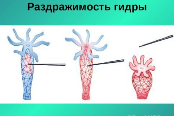 Сайт кракен закрыли